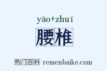 腰椎是什么意思的图片